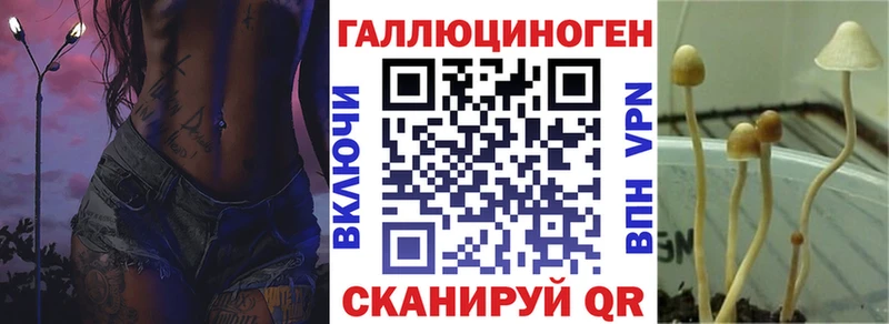 Псилоцибиновые грибы GOLDEN TEACHER Ряжск